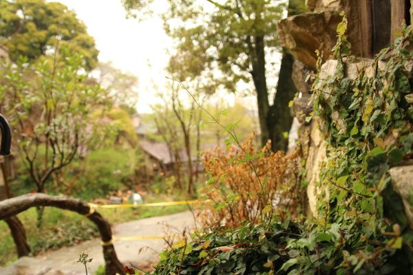 ぬくもりの森　家山の桜トンネル　駿府城のお堀サムネイル