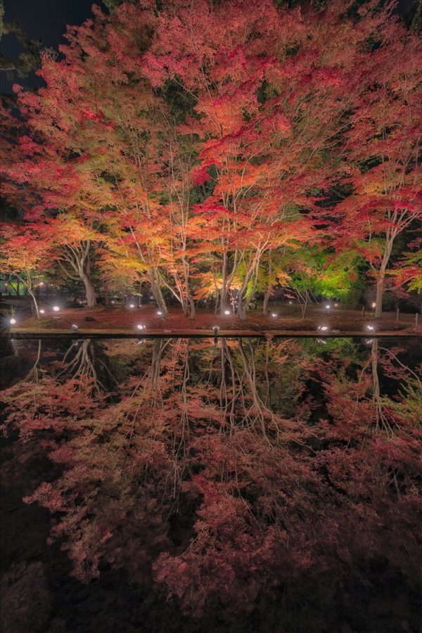 パーマ液　ベルローネ　プログレ　　恵那川上屋 　モネの池　曽木公園　紅葉サムネイル