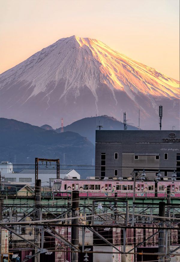 静岡鉄道　富士山　金寿し地魚定サムネイル