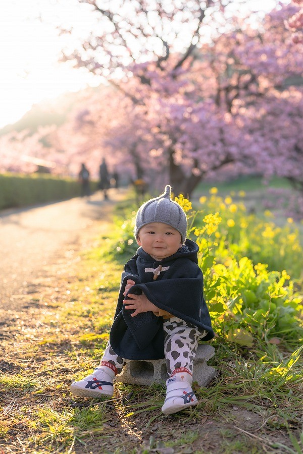 みなみの桜と菜の花まつり　南伊豆サムネイル